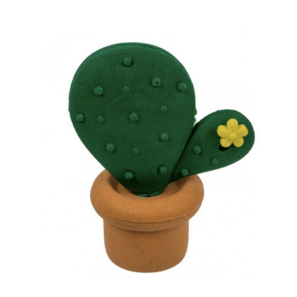 CACTUS ERASER Kaktüs Silgi Seti