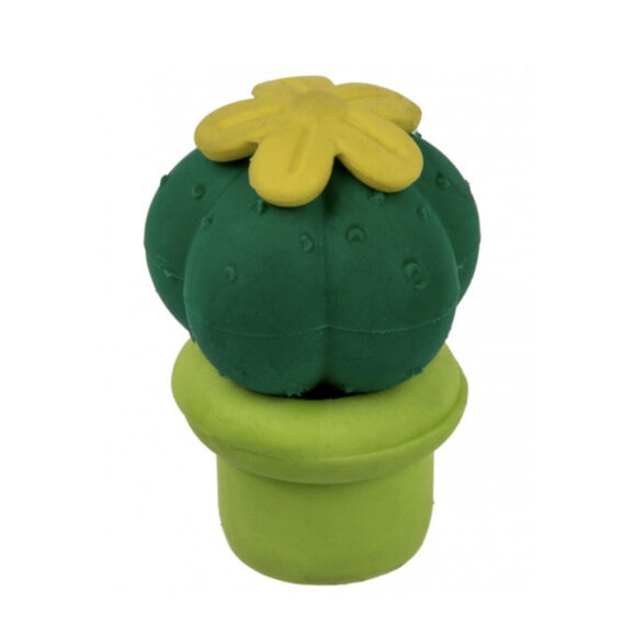 CACTUS ERASER Kaktüs Silgi Seti