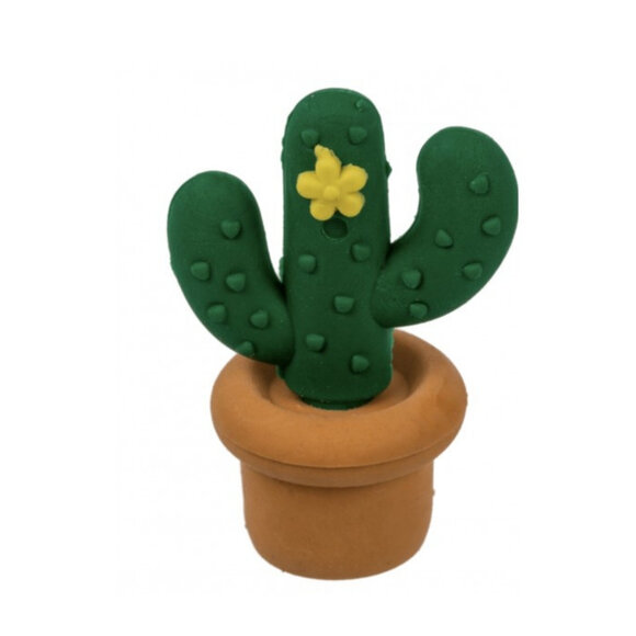 CACTUS ERASER Kaktüs Silgi Seti