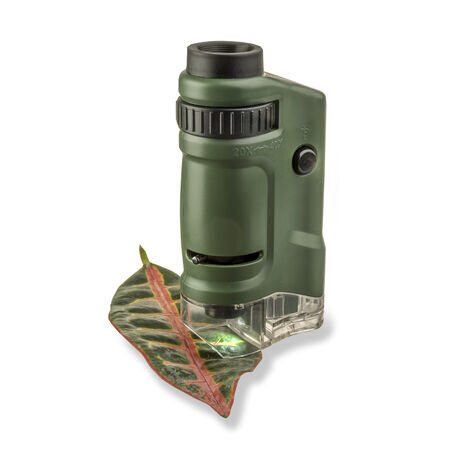 Carson LED LID Pocket Işıklı Mikroskop 20x 40x