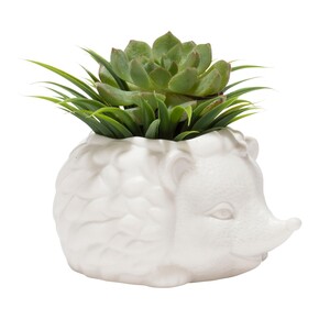 Kikkerland PRICKLES THE HEDGEHOG PLANTER Seramik Kirpi Saksı - Thumbnail