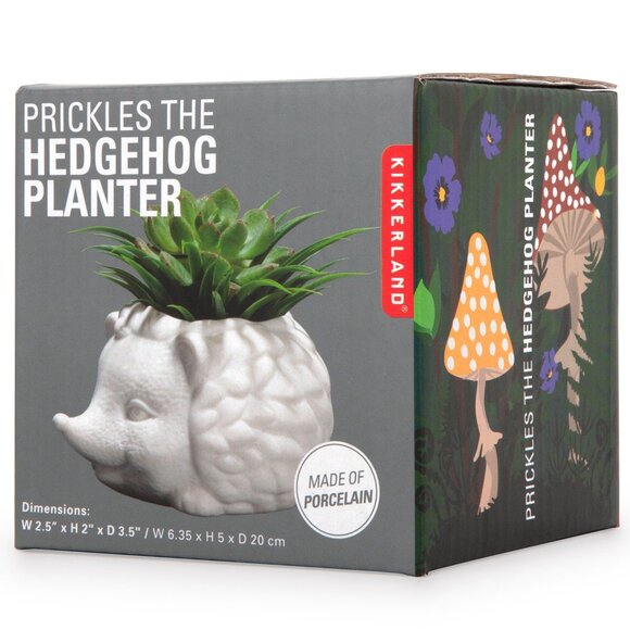 Kikkerland PRICKLES THE HEDGEHOG PLANTER Seramik Kirpi Saksı