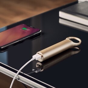 LEXON - Lexon Nomaday Powerbank Dore LL138O